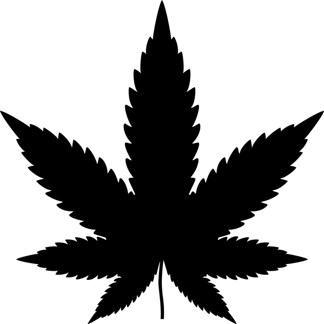 סמים